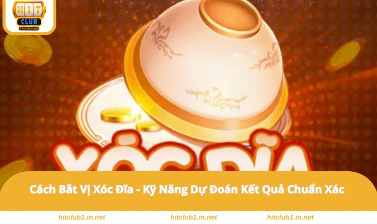 Cách Bắt Vị Xóc Đĩa