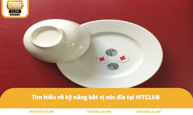 Tìm hiểu về kỹ năng bắt vị xóc đĩa tại HITCLUB