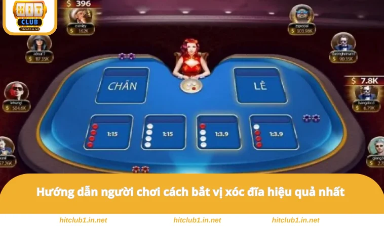 Hướng dẫn người chơi cách bắt vị xóc đĩa hiệu quả nhất