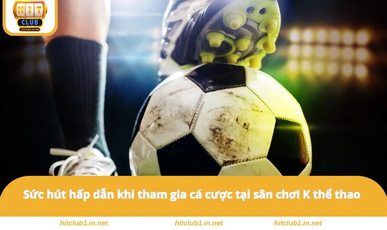 K Thể Thao - Sảnh Cược Cung Cấp Đa Dạng Bộ Môn Thú Vị 2 Sức hút hấp dẫn khi tham gia cá cược tại sân chơi K thể thao