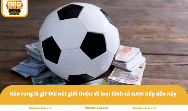Kèo rung là gì? Đôi nét giới thiệu về loại hình cá cược hấp dẫn này