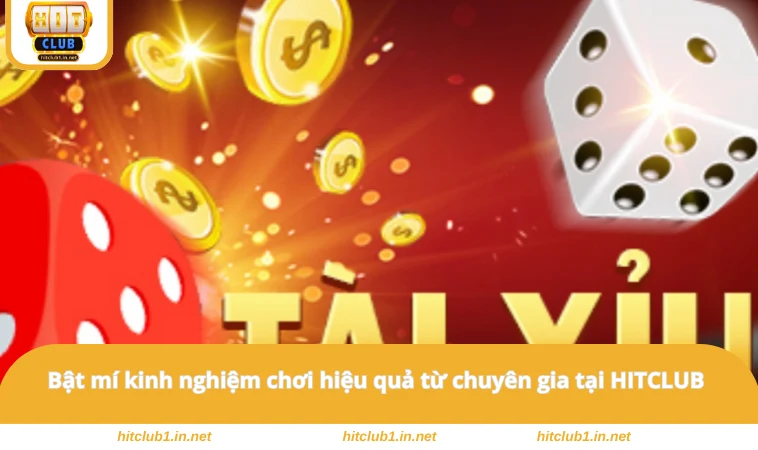 Tài Xỉu HITCLUB - Sân Chơi Được Nhiều Người Săn Đón Nhất 3 Bật mí kinh nghiệm chơi hiệu quả từ chuyên gia tại HITCLUB